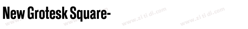 New Grotesk Square字体转换 New Grotesk Square字体转换